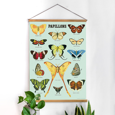 פוסטר: Papillons