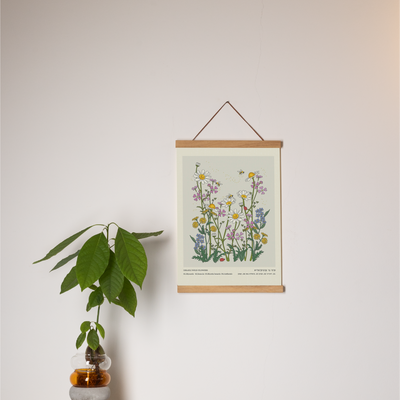 פרינט: Israel Wild Flowers Pastel A3