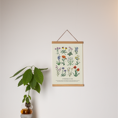 פרינט: Isreal Wild Flowers A3