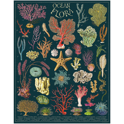 פאזל 1000 חלקים : Ocean Flora