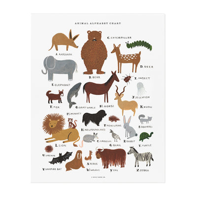 פרינט : Animal Alphabet M
