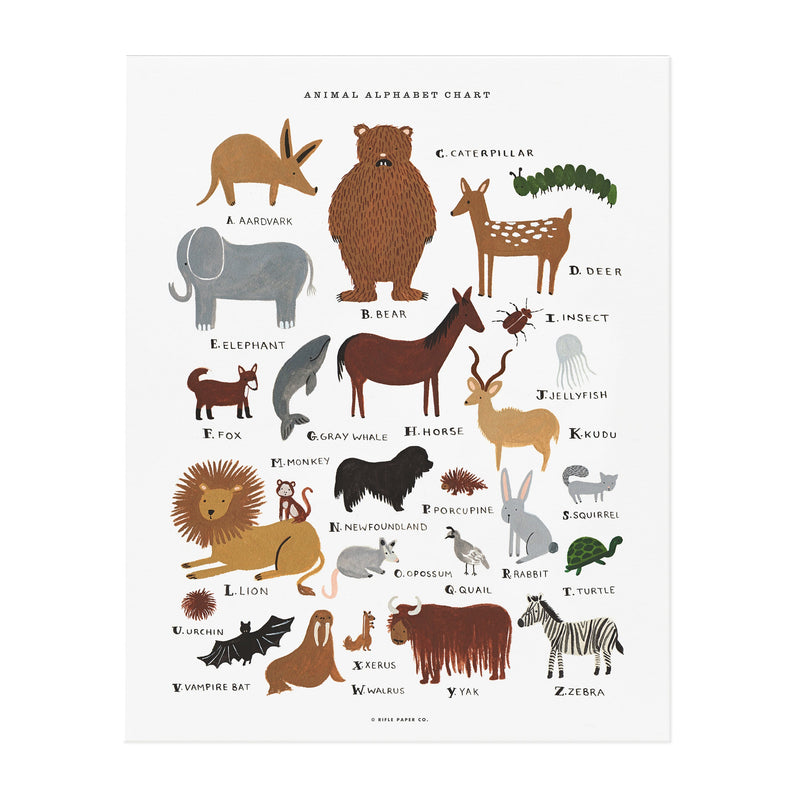 פרינט : Animal Alphabet M