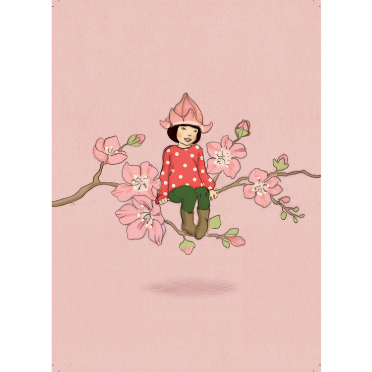 גלויה : Cherry Blossom