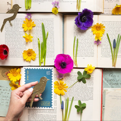 סימניית בראס: Arabian Warbler