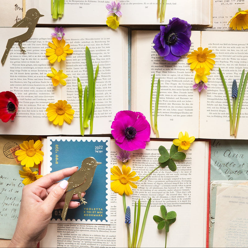 סימניית בראס: Arabian Warbler