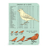 3 מחברות מיני : Bird Watching