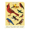 3 מחברות מיני : Bird Watching
