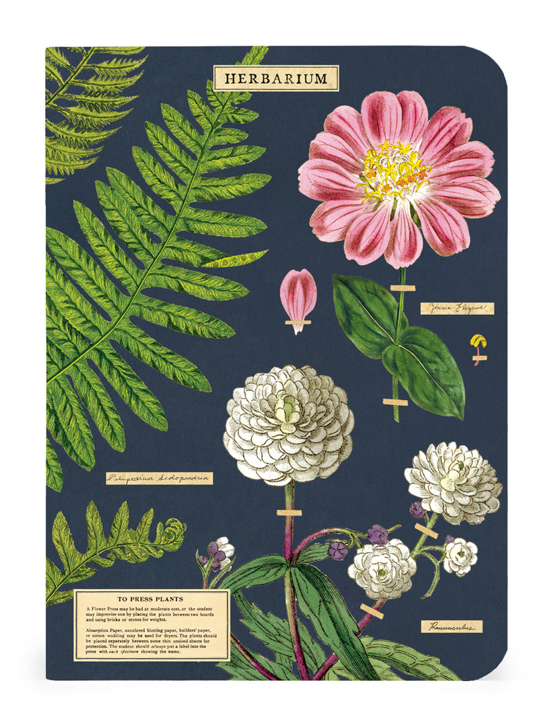 3 מחברות מיני : Herbarium
