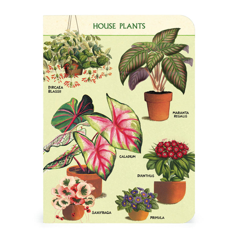 3 מחברות מיני : House Plants