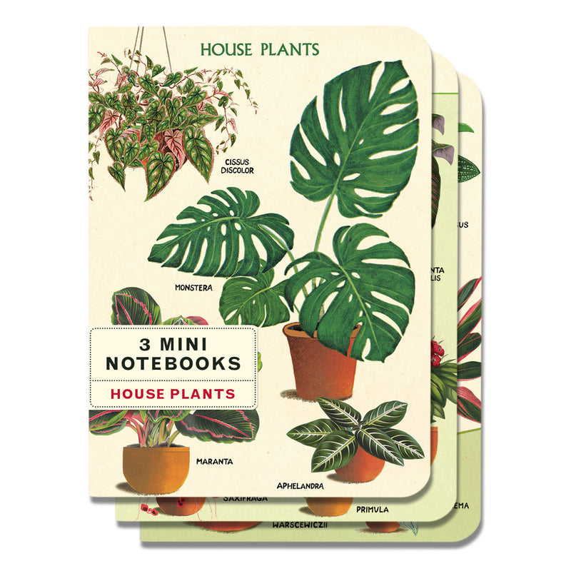 3 מחברות מיני : House Plants
