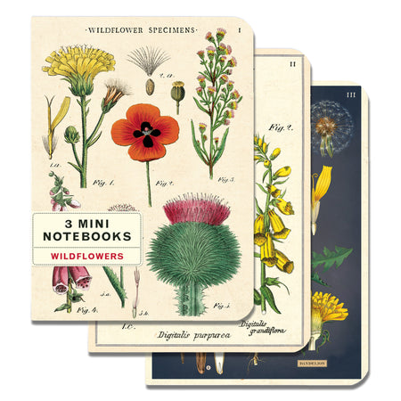 3 מחברות מיני : Wildflowers