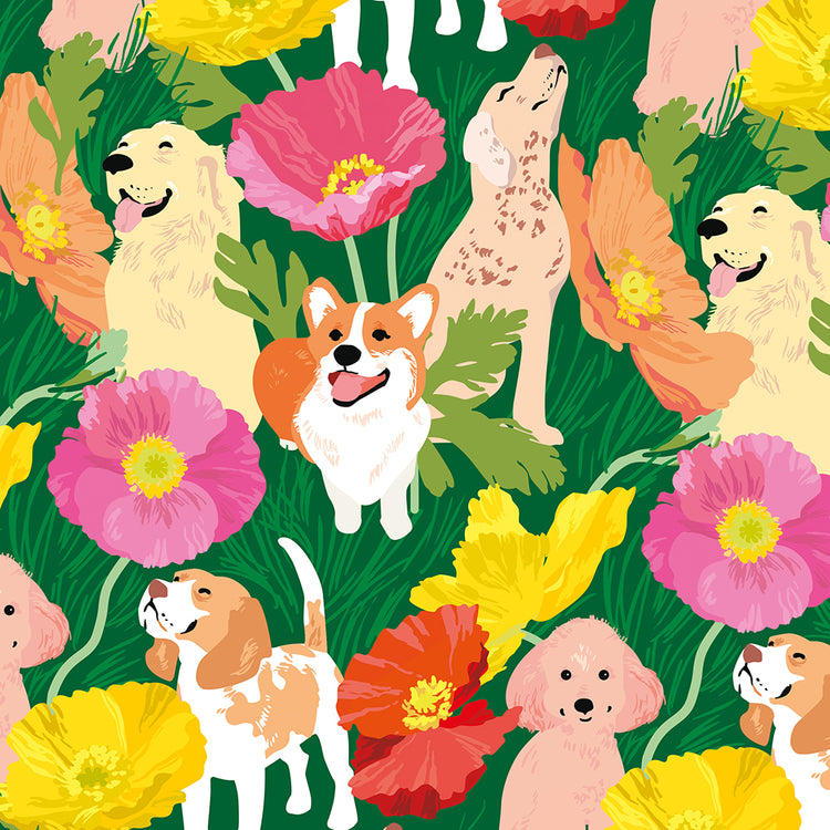 נייר עטיפה : Dogs And Poppies