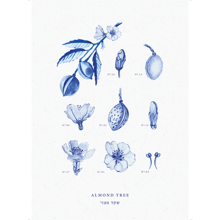 פרינט : Almond Tree A3