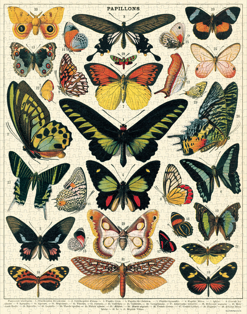 פאזל 1000 חלקים : Butterflies