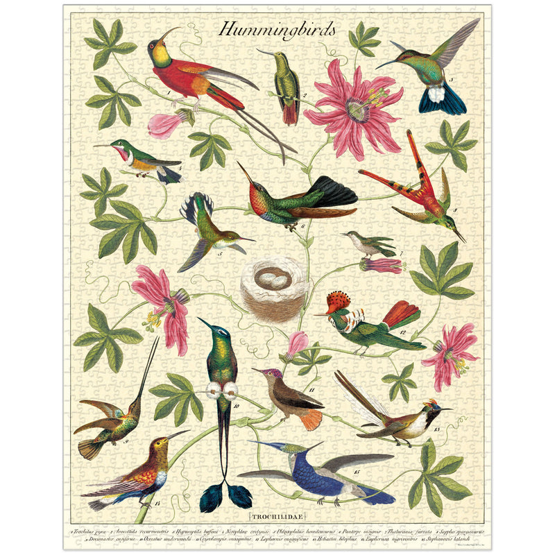 פאזל 1000 חלקים : Hummingbirds