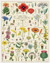 פאזל 1000 חלקים : Wildflowers