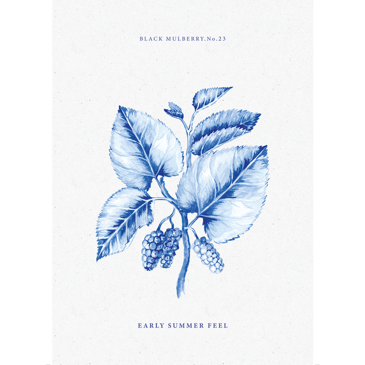 הדפס : Black Mulberry A3