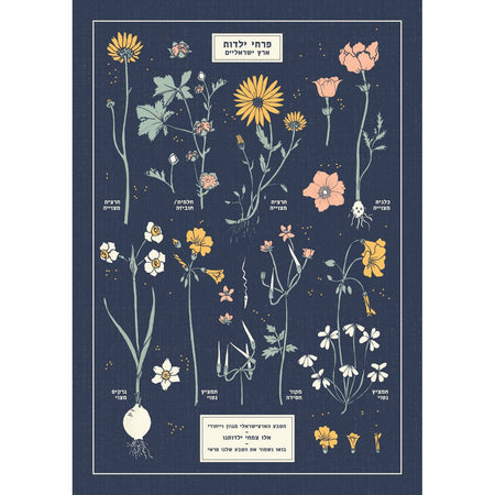 פרינט : Botanical Chart A4