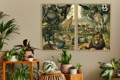 זוג פרינטים   : African Fauna