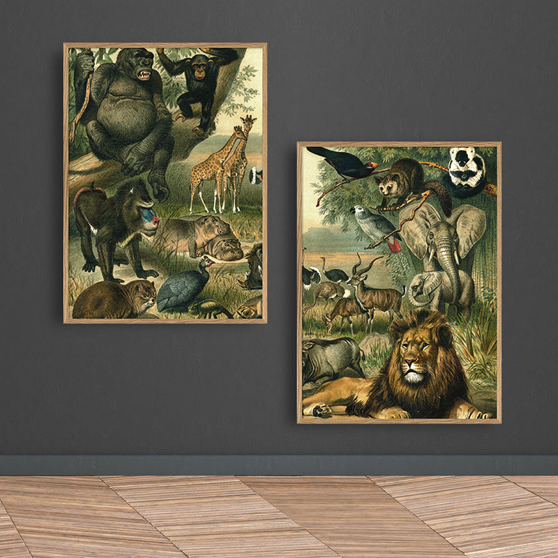 זוג פרינטים   : African Fauna
