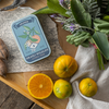 קופסת פח קטנה : Orange Fruit