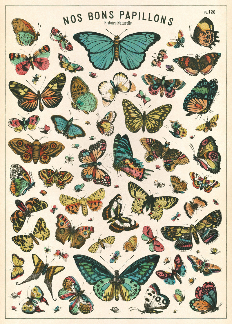 פוסטר : Butterfly Chart