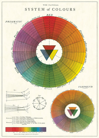 פוסטר : Color Wheel