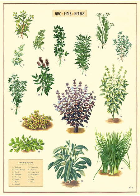 פוסטר : Herbs