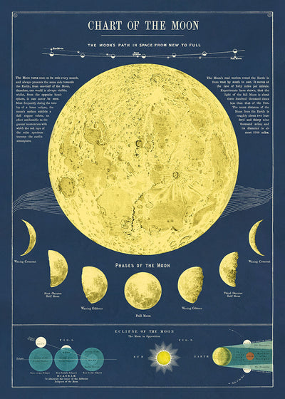 פוסטר : Moon Chart