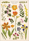 פוסטר : Pressed Flowers