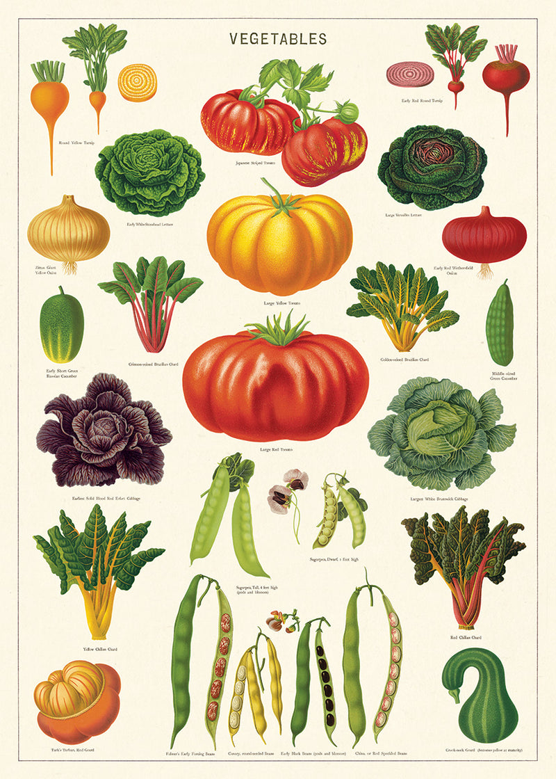פוסטר : Vegetables