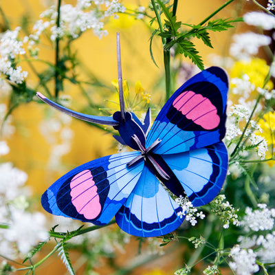 יצירה בנייר : Peacock Butterfly