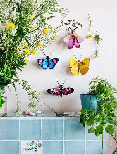 יצירה בנייר : Peacock Butterfly