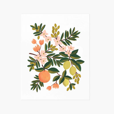 פרינט : Citrus Floral L