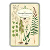 מארז גלויות בקופסת פח : Ferns