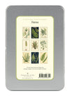מארז גלויות בקופסת פח : Ferns