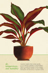 מארז גלויות בקופסת פח : House Plants