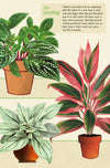 מארז גלויות בקופסת פח : House Plants