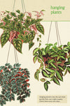מארז גלויות בקופסת פח : House Plants