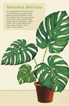 מארז גלויות בקופסת פח : House Plants