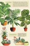 מארז גלויות בקופסת פח : House Plants