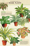 מארז גלויות בקופסת פח : House Plants
