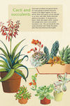 מארז גלויות בקופסת פח : House Plants