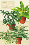 מארז גלויות בקופסת פח : House Plants