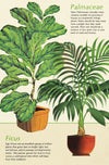 מארז גלויות בקופסת פח : House Plants