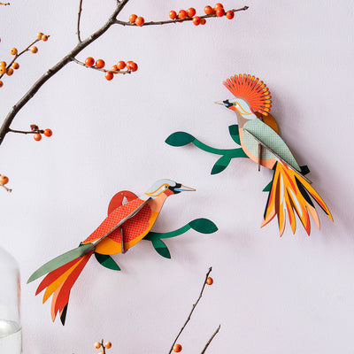 יצירה בנייר : Paradise Bird Obi