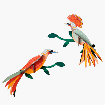 יצירה בנייר : Paradise Bird Obi