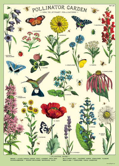 פוסטר : Pollinators